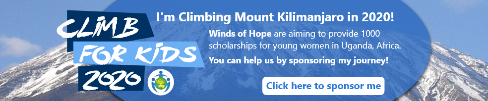 Climb For Kids 2020 Sponsor Banner